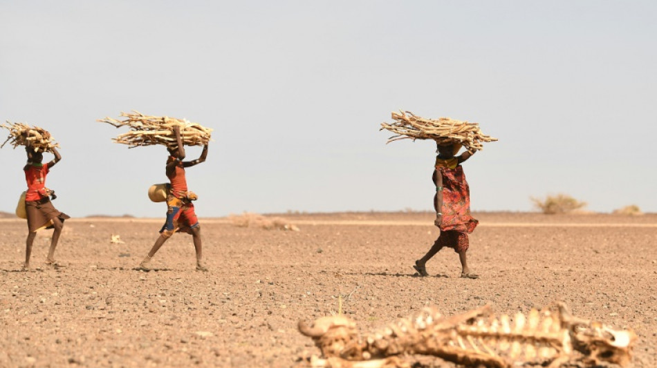 IMF warns climate shocks may increase conflict deaths