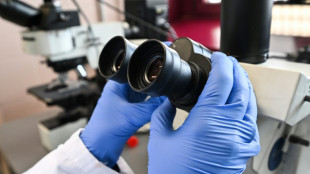 Les chercheuses sont sous-représentées dans les publications scientifiques