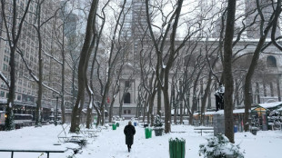 ¿Cuándo va a nevar?, se preguntan los neoyorquinos