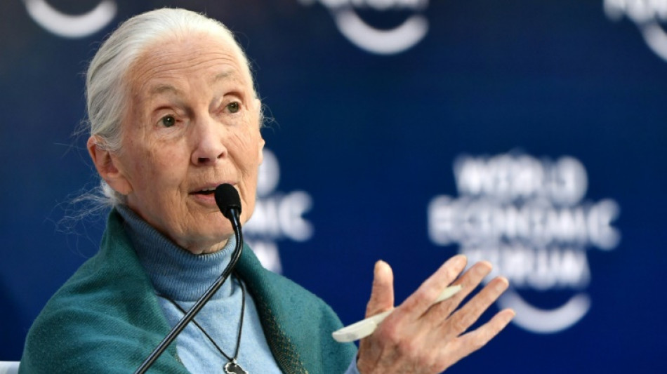 Cambio climático se acerca al "punto de no retorno", dijo la primatóloga Jane Goodall