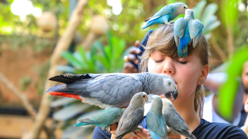 Santuario vegetal acoge aves exóticas en la capital de Sudán