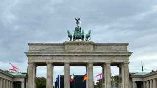 Cresce rapporto debito/pil della Germania: nel 2024 è al 49,5%