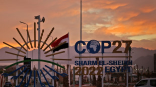 Principaux points des textes adoptés à la COP27