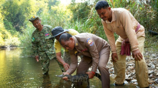 'We will preserve them': saving Cambodia's crocodiles