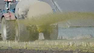 Gülle in Pool von Ferienhaus geweht: Landwirt haftet für Verschmutzung