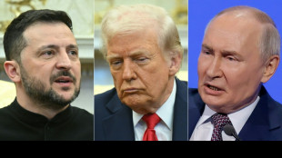 Trump considera viajar à Turquia para diálogos entre Rússia e Ucrânia se Putin participar
