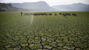 UNO warnt vor zunehmender Unberechenbarkeit des Wasserkreislaufes der Erde