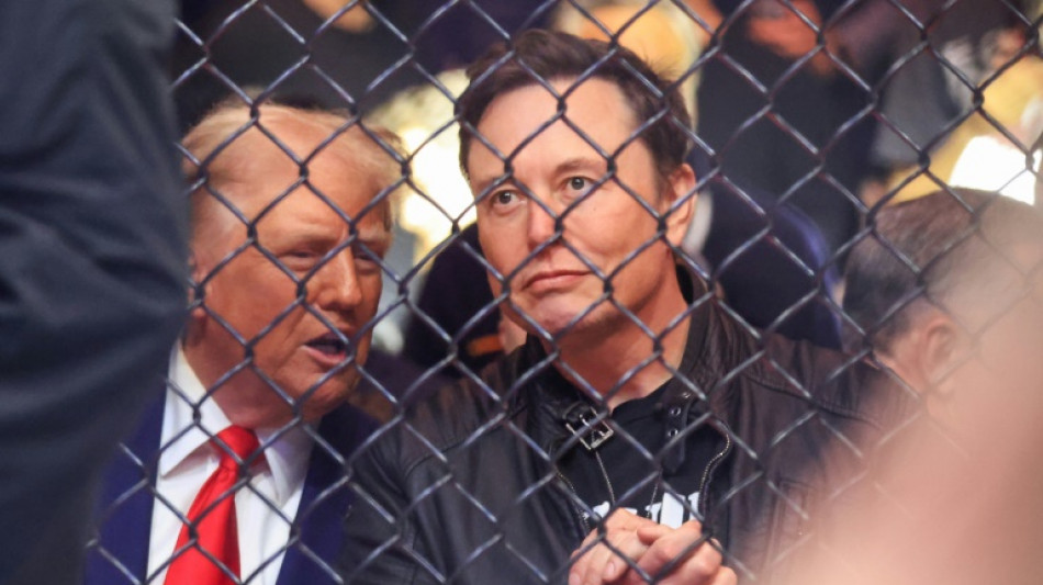 El "bromance" entre Trump y Musk... ¿tiene fecha de caducidad?
