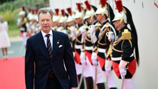 Luxembourg Grand Duke announces start of handover to son
