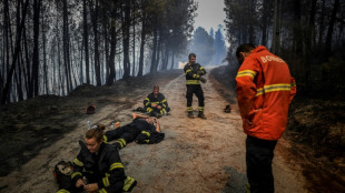 Waldbrand in Naturpark in Portugal flammt wieder auf