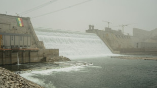 Ethiopia, Egypt, Sudan resume Nile dam talks