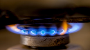 Il prezzo del gas apre in calo a 33,92 euro