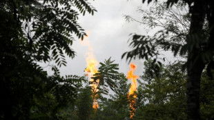 Equateur: la fin de l'extraction pétrolière dans une réserve naturelle prendra au moins 5 ans